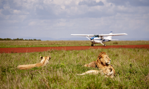 6-DAY KENYA – HIGH END FLYING PACKAGE