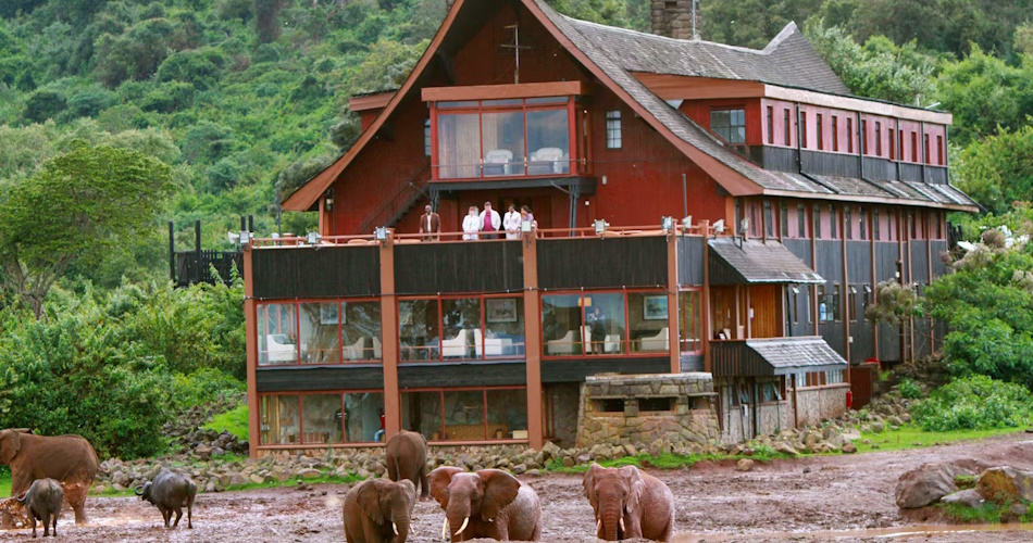 THE ARK LODGE